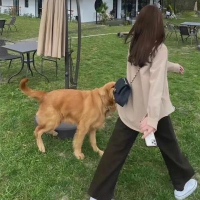 俊俏媳妇开明婆