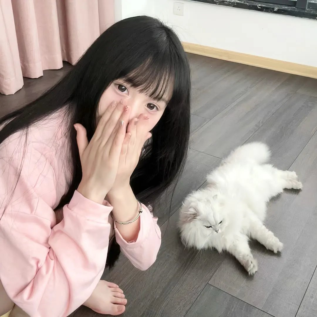 狐狸王子